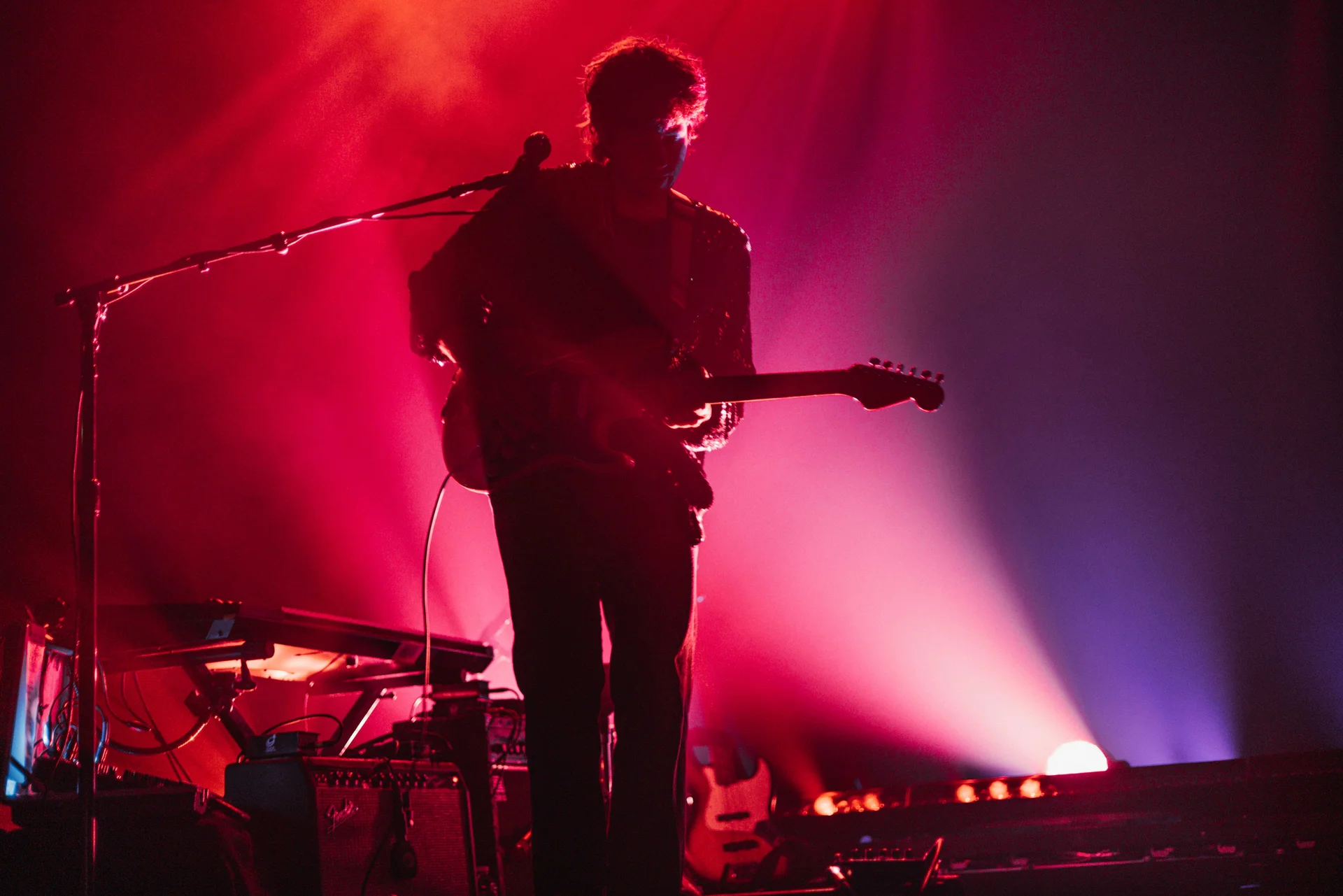 Beach House Concert - photo 21 of 38